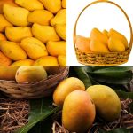 Keshar Mango