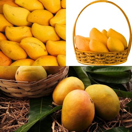 Keshar Mango