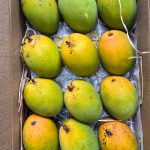 Alphonso Mango - Big